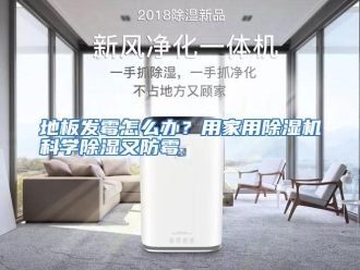 常见问题地板发霉怎么办？用家用除湿机科学除湿又防霉