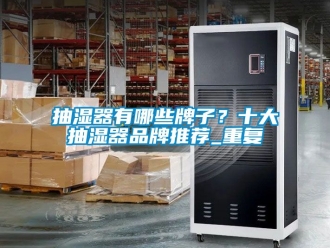 企业动态抽湿器有哪些牌子？十大抽湿器品牌推荐_重复