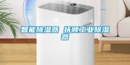 智能除湿器 抚顺工业除湿器