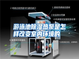 行业资讯游泳池除湿热泵是怎样改变室内环境的