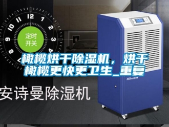 行业资讯橄榄烘干除湿机，烘干橄榄更快更卫生_重复