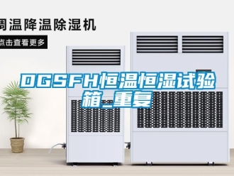 常见问题DGSFH恒温恒湿试验箱_重复