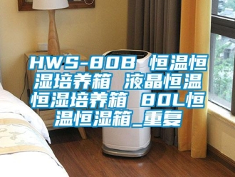 常见问题HWS-80B 恒温恒湿培养箱 液晶恒温恒湿培养箱 80L恒温恒湿箱_重复