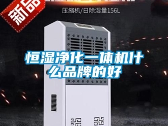 知识百科恒湿净化一体机什么品牌的好