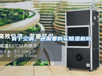 常见问题有了空调，还需要购买除湿机吗