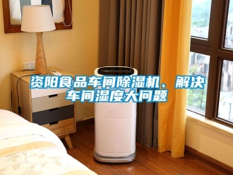 企业动态资阳食品车间除湿机、解决车间湿度大问题
