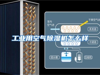 常见问题工业用空气除湿机怎么样