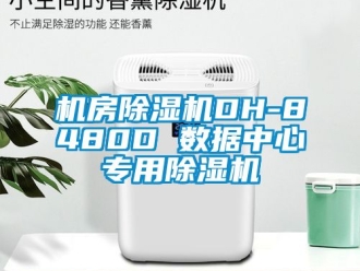 行业资讯机房除湿机DH-8480D 数据中心专用除湿机