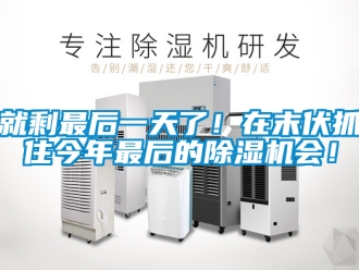 行业资讯就剩最后一天了！在末伏抓住今年最后的除湿机会！