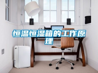 知识百科恒温恒湿箱的工作原理