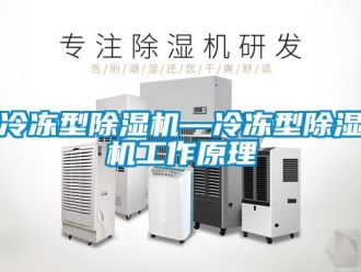 行业资讯冷冻型除湿机—冷冻型除湿机工作原理