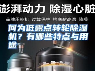 常见问题何为低露点转轮除湿机？有哪些特点与用途