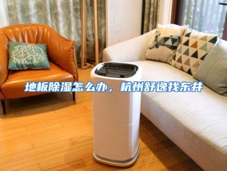 常见问题地板除湿怎么办，杭州舒逸找东井