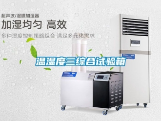 企业动态温湿度三综合试验箱