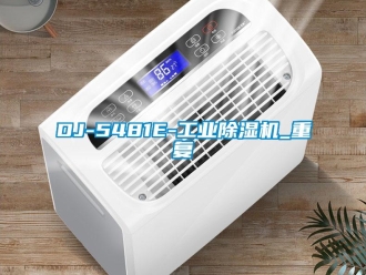 常见问题DJ-5481E-工业除湿机_重复