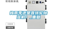 梅雨季还是靠转轮除湿机！_重复