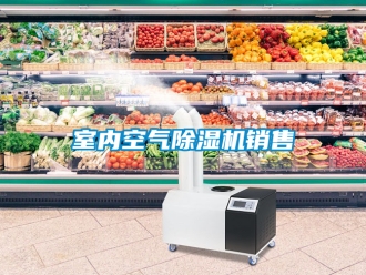 行业资讯室内空气除湿机销售