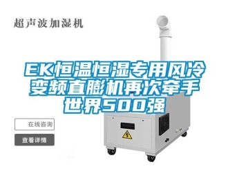 常见问题EK恒温恒湿专用风冷变频直膨机再次牵手世界500强