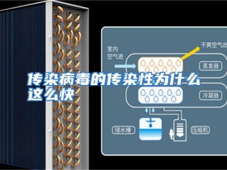 常见问题传染病毒的传染性为什么这么快