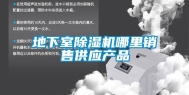 地下室除湿机哪里销售供应产品
