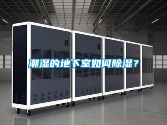 企业动态潮湿的地下室如何除湿？