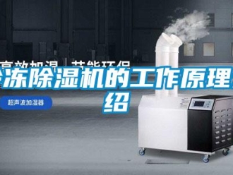 行业资讯冷冻除湿机的工作原理介绍