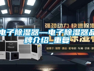 行业资讯电子除湿器—电子除湿器品牌介绍_重复