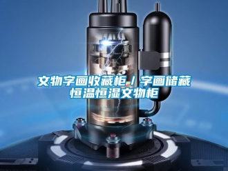知识百科文物字画收藏柜／字画储藏恒温恒湿文物柜