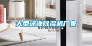 大型泳池除湿机厂家