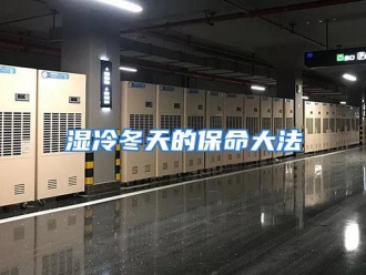 行业资讯湿冷冬天的保命大法