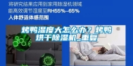 烤鸭湿度大怎么办？烤鸭烘干除湿机_重复