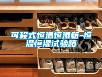 知识百科可程式恒温恒湿箱-恒温恒湿试验箱