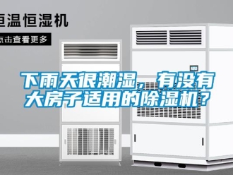 行业资讯下雨天很潮湿，有没有大房子适用的除湿机？