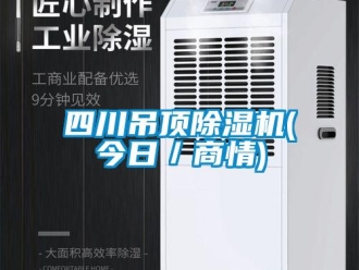 行业资讯四川吊顶除湿机(今日／商情)