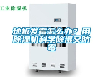 行业资讯地板发霉怎么办？用除湿机科学除湿又防霉