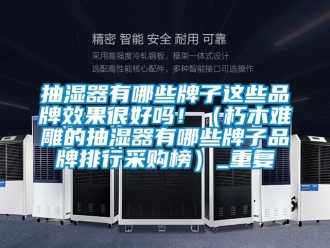 企业动态抽湿器有哪些牌子这些品牌效果很好吗！（朽木难雕的抽湿器有哪些牌子品牌排行采购榜）_重复