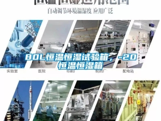 常见问题80L恒温恒湿试验箱，-20℃恒温恒湿箱