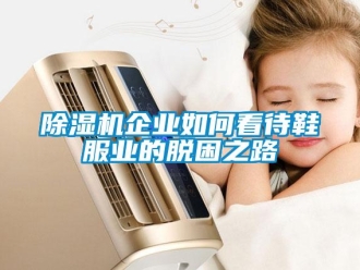 常见问题除湿机企业如何看待鞋服业的脱困之路