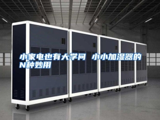 行业资讯小家电也有大学问 小小加湿器的N种妙用