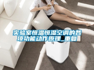 知识百科实验室恒温恒湿空调的各项功能动作原理_重复