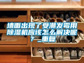 行业资讯墙面出现了受潮发霉用除湿机应该怎么解决呢？_重复