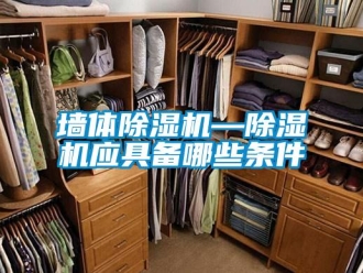 行业资讯墙体除湿机—除湿机应具备哪些条件