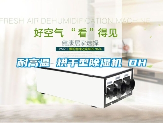 行业资讯耐高温 烘干型除湿机 DH