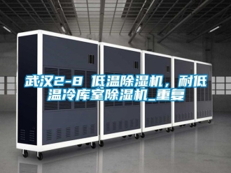 行业资讯武汉2-8℃低温除湿机，耐低温冷库室除湿机_重复
