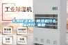 专用除湿机，除湿机什么品牌好_重复