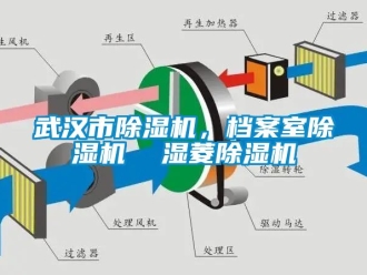 行业资讯武汉市除湿机，档案室除湿机  湿菱除湿机