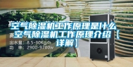 空气除湿机工作原理是什么 空气除湿机工作原理介绍【详解】