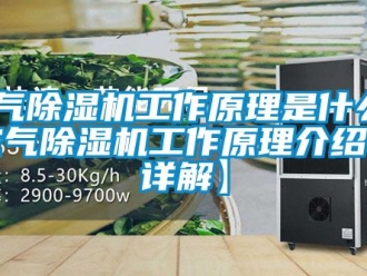 行业资讯空气除湿机工作原理是什么 空气除湿机工作原理介绍【详解】