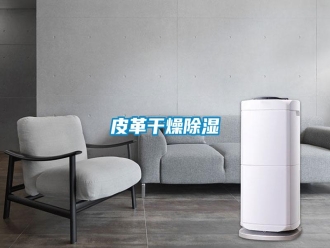 行业资讯皮革干燥除湿