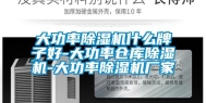 大功率除湿机什么牌子好-大功率仓库除湿机-大功率除湿机厂家